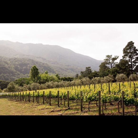 Artist Signed EB Webb Bernardus Lodge Watercolor in Matted Wood Frame - Picture 5 of 14